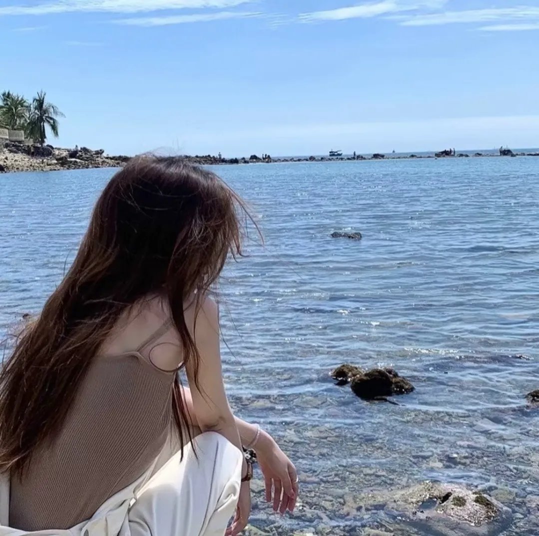大象与小蝶物语